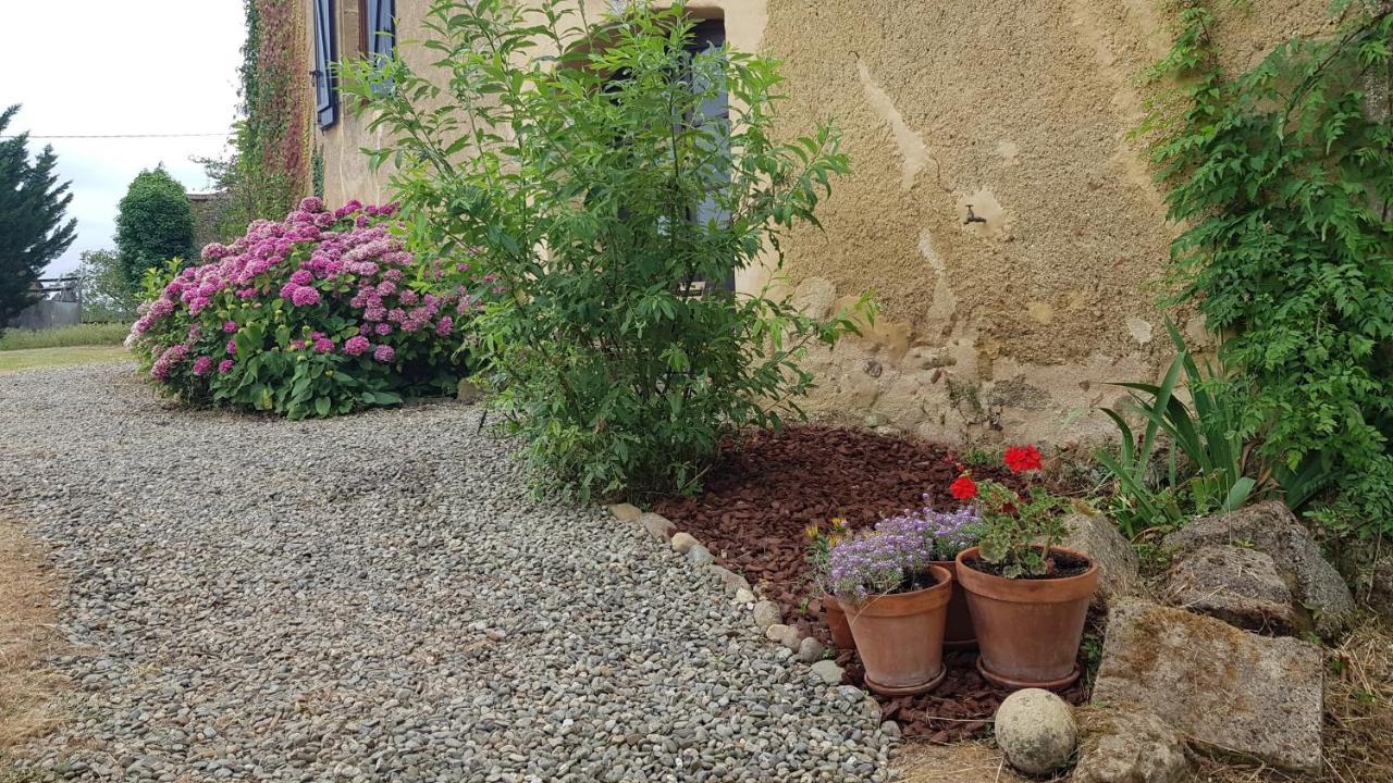 Le Peyroutet Διαμέρισμα Cazaux-Villecomtal Εξωτερικό φωτογραφία