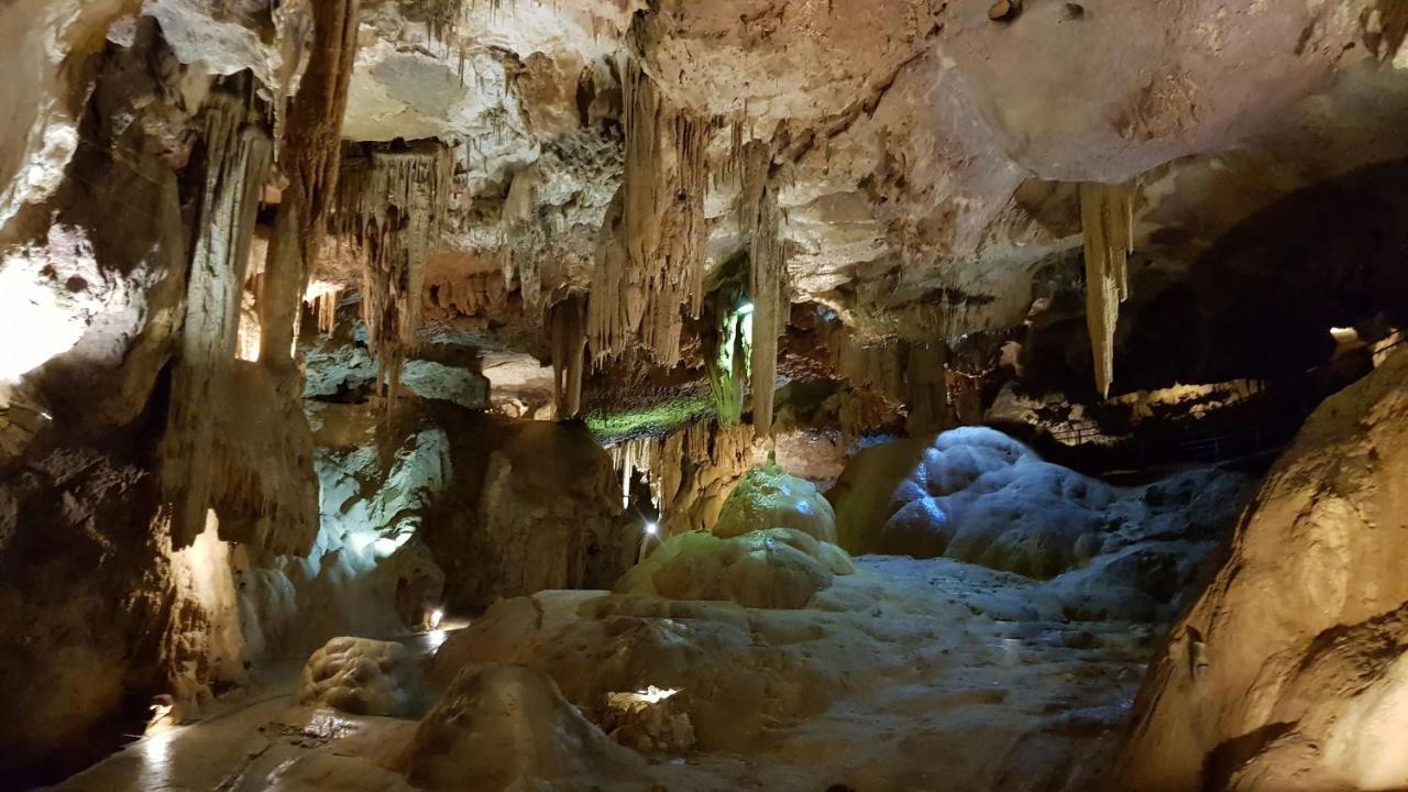 Le Peyroutet Διαμέρισμα Cazaux-Villecomtal Εξωτερικό φωτογραφία